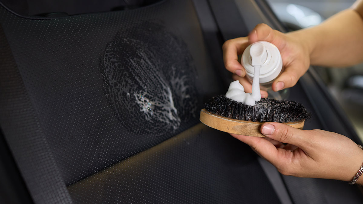 Profesyonel Detailing Fırçaları